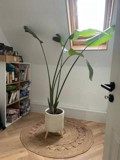 Modern house with garden, quiet & central - 7