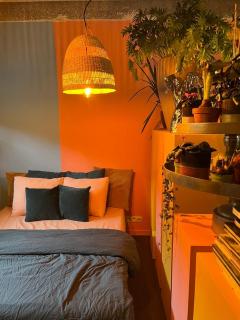 Plantkot, a cozy apartment full of plants of tinykot - 8