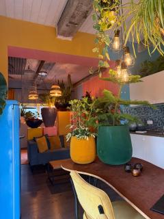 Plantkot, a cozy apartment full of plants of tinykot - 5