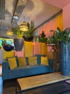 Plantkot, a cozy apartment full of plants of tinykot - 2