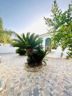 Villa Verde Salento - 4