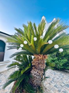 Villa Verde Salento - 6