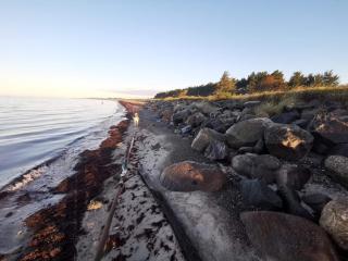 8 person holiday home in Dannemare-By Traum - 9