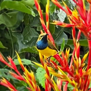 BIG Beach House Tranquility - beachfront renovated - 8