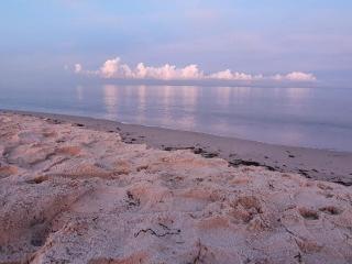 Seaside Retreat-By Traum - 8