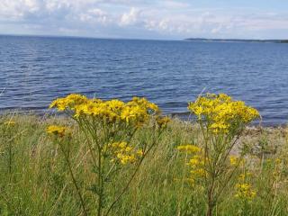 Scenic Golf Retreat-By Traum - 5