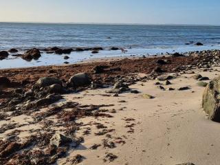 Seaside Retreat with Spa - By Traum Ferienwohnungen - 4