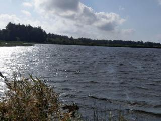 12 person holiday home in Idestrup-By Traum - 5