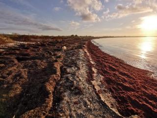 Seaside Retreat in Lolland - By Traum Ferienwohnungen - 6