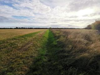 8 person holiday home in Dannemare-By Traum - 7