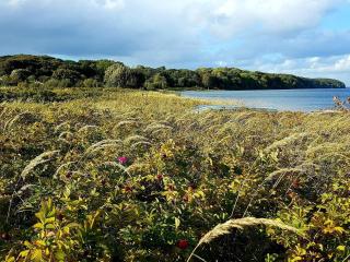 Seaside Serenity in Vejlby Fed-By Traum - 6