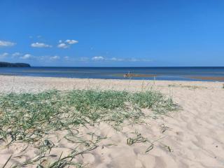 Seaside Serenity in Vejlby Fed-By Traum - 2
