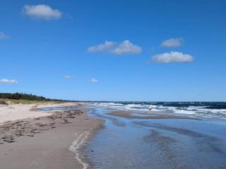 12 person holiday home in Idestrup-By Traum - 8