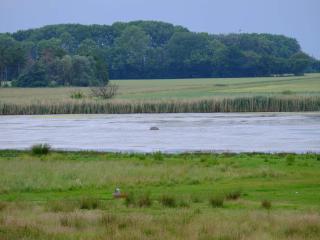 12 person holiday home in Idestrup-By Traum - 1