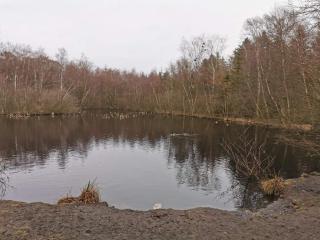 Lakefront Retreat - By Traum Ferienwohnungen - 8