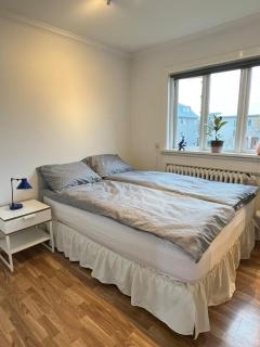 Charming apartment in city of Reykjavik - 5