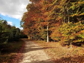 6 person holiday home in Karrebæksminde-By Traum - 3