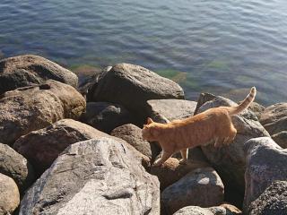 6 person holiday home in Karrebæksminde-By Traum - 2