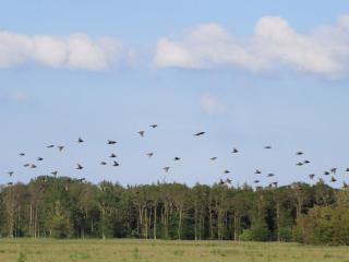 4 person holiday home in Bogense-By Traum - 9