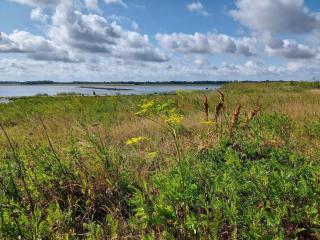 4 person holiday home in Bogense-By Traum - 1