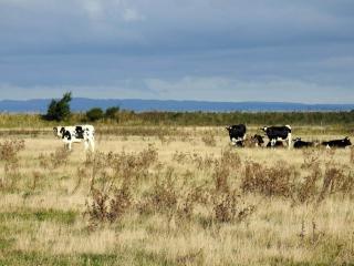 4 person holiday home in Bogense-By Traum - 5