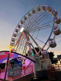 '81' Exclusive 1Bdrm Apartment wCarpark - 2