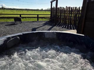 Blackditch hideaway cabin - 8