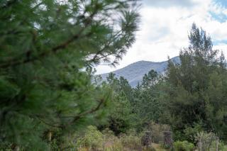 Cielito Lindo Hotel Boutique - 6