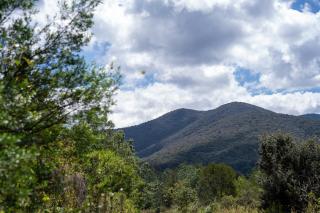 Cielito Lindo Hotel Boutique - 9