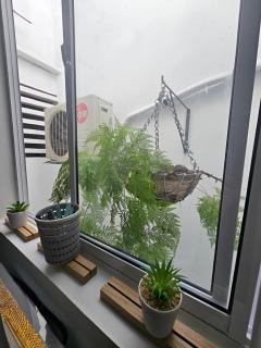 Apartamento Confortável na Farolândia a 10 min da praia - 8