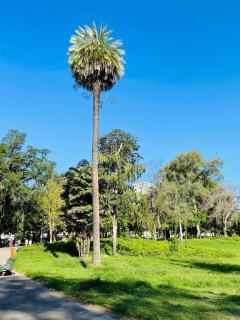 Apart Inteiro Confort Centro Rio de Janeiro - 3