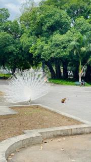 Apart Inteiro Confort Centro Rio de Janeiro - 1