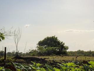 Breeze Holiday Parks - Mary River - 9