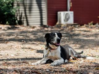 Breeze Holiday Parks - Mary River - 2