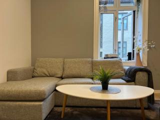Bright Scandinavian Flat Central Oslo - Oslo - 3