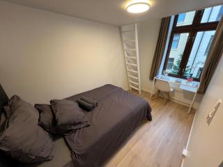 Bright Scandinavian Flat Central Oslo - Oslo - 5