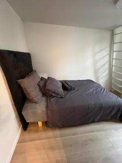 Bright Scandinavian Flat Central Oslo - Oslo - 6