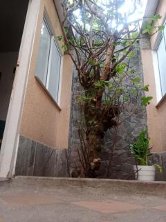 Casa Hotel Atelier - 2