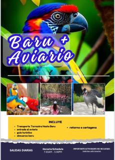 cerca del centro, practico, precio justo, trabajo o turismo - 7