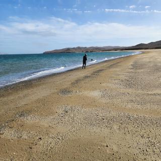 Avistamiento de Ballenas y Campamento Todo incluido!! Mínimo 3 noches en Mag Bay - 1