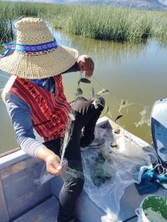 Encantos del titikaka lodge - 5