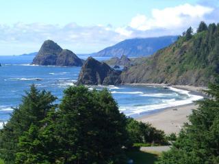 LX28: Gold Beach Oceanfront Estate - 1