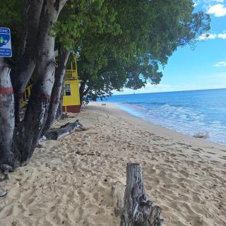 105 Batts Rock Beach Condos near UWI - 1