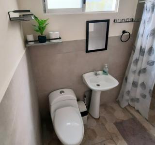 The garden oasis close to SJO airport - 5