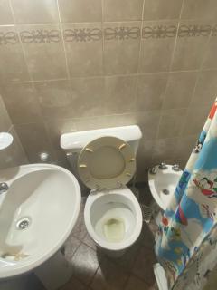 Descanso Fueguino - Ushuaia - 5