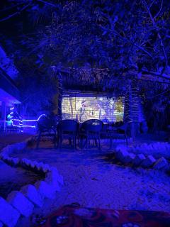 كامب سيوة اواسيس Siwa Oasis Camp - 3