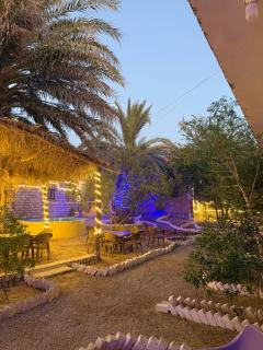 كامب سيوة اواسيس Siwa Oasis Camp - 9