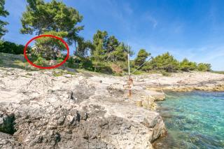 Holiday Home Fabrice 8692 - 9