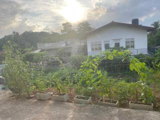 Waypoint Resort Hikkaduwa - 9