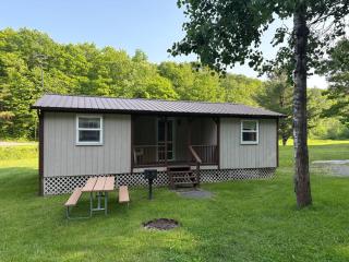 Pine and Paddle Cottage on Black Lake - 4